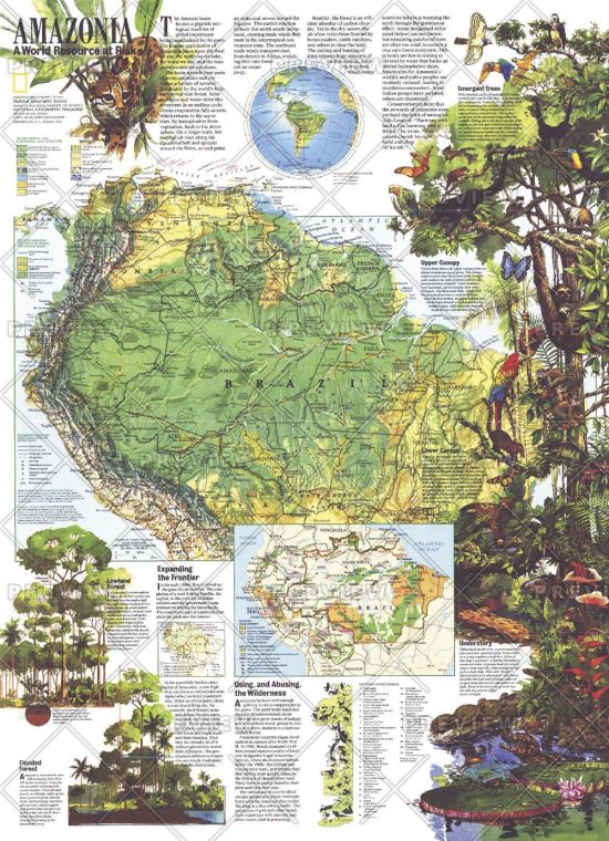 Amazonia A World Resource At Risk Published 1992 Map