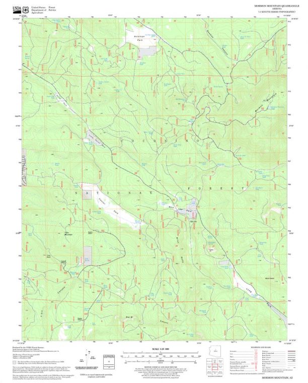 Mormon Mountain Quadrangle Map