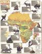 Africa Threatened Published 1990 Map