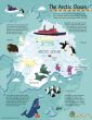 Collins Children's Arctic Wall Map