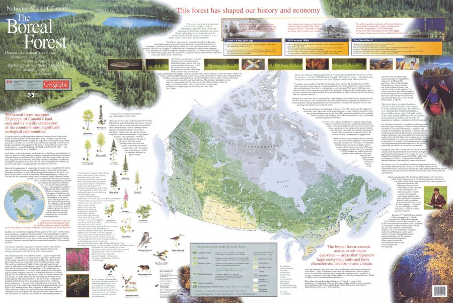 The Boreal Forest Map