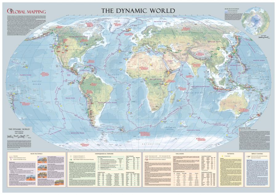 The Dynamic World Wall Map Large